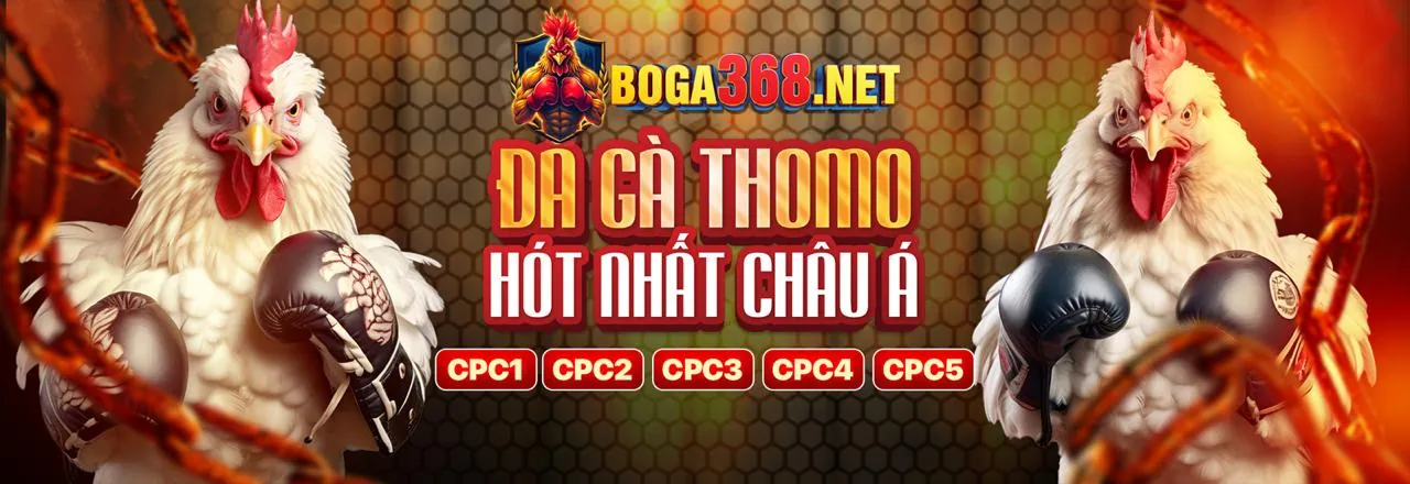 Sân đấu đá gà trực tuyến F8BET8